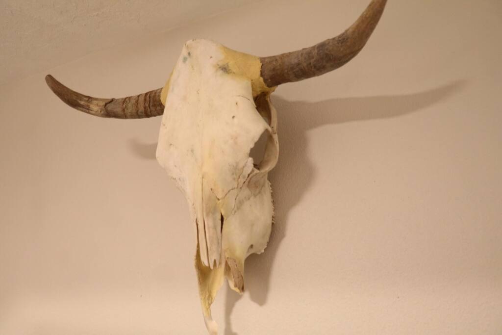 Cowboy Den-Hot Tub-Game Room-Pet Friendly-No Pet Fees! Albuquerque Exterior photo